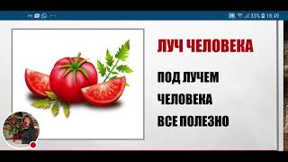 Ваш семейный ритмолог - система питания под Лучами