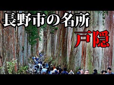 長野市の人気スポット・戸隠神社に行ってきた【戸隠そば・杉並木・アクセス方法など紹介】