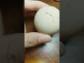 RAW EGG PEELING LIVE