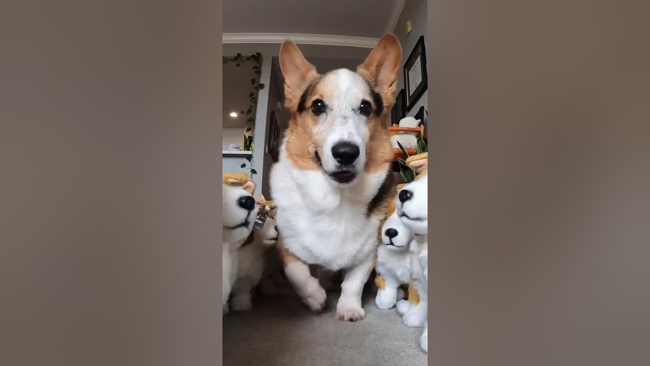 Ok Now Let's Get in Formation YouTube