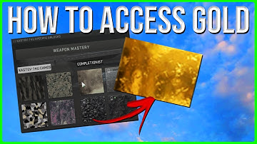 How to FIX not being able to EQUIP GOLD CAMO in mw2! (No Gold Camo Challenges)