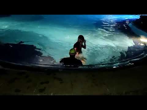 Beginners swimming - walking in a pool - YouTube