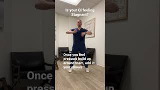 Trembling Horse For Qi Stagnation