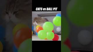 They just keep falling from the sky... #kittisaurus #cats #ballpit #challenge