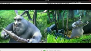 ACES IPTV SOFTWARE -  FINGERPRINT FEATURE