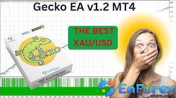 Gecko EA v1.2 MT4 Review + Setting | EA Forex Store