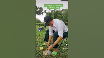 Cách móc mồi bánh mỳ câu cá tra sông