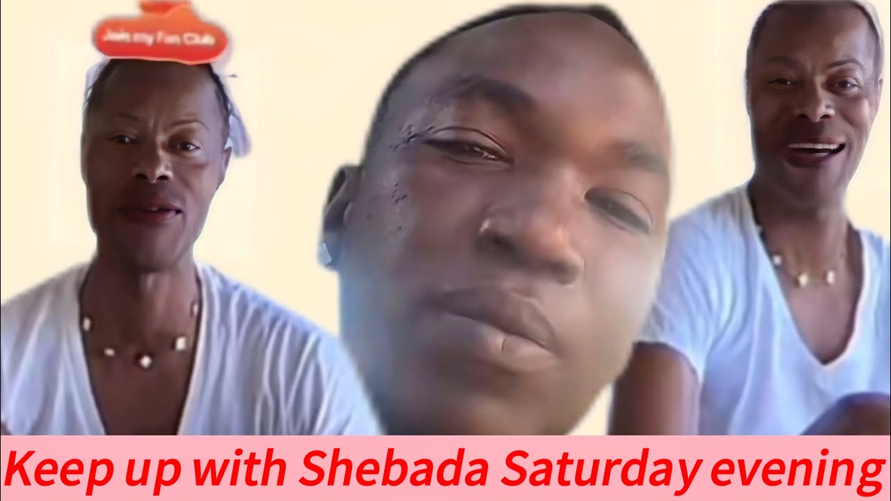 Следите за новостями Shebada в субботу вечером в исполнении «Команды Джейка».