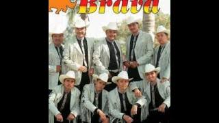 A que no le pones banda brava