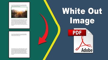 How to white out a picture on a pdf file in Adobe Acrobat Pro DC 2022