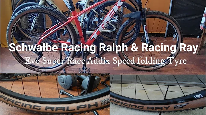 Schwalbe Racing Ralph & Racing Ray (29x2.25 inch)5...