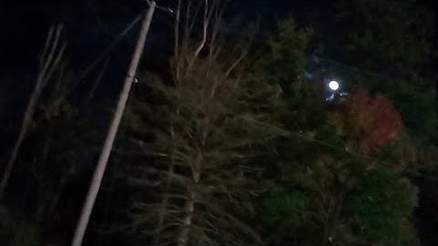 playboi carti x offset - rockout! (snippet)