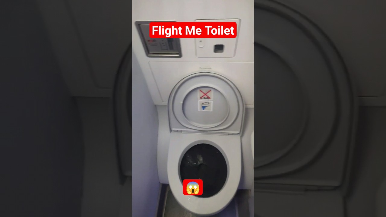 Flight Me Toilet Dekho Kaisa Rahta He 