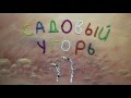 Садовый угорь. Heteroconger hassi. Пластилиновый познавательный мультфильм. Plasticine Animation