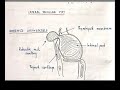 Reinke&#39;s Edema, Saccule Disorders &amp; Intubation Granuloma - ENT Video by Dr. Mehak Agarwal