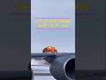 US F-35 Fighter Jet Live Crash – Epic Save by Pilot in Real-Time! #F35 #FighterJetCrash #PilotSave