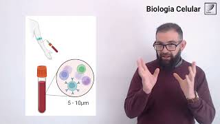 10. Biología Celular. Técnicas utilizadas en el estudio de la célula