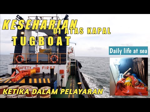 Video: Pelayaran Teratas untuk Melihat Cahaya Utara