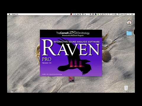 Parte 1: Introducción a Raven (español)