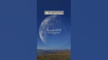 سورة الحج الآية 46.راحة نفسية القران الكريم quran kerim surat haj