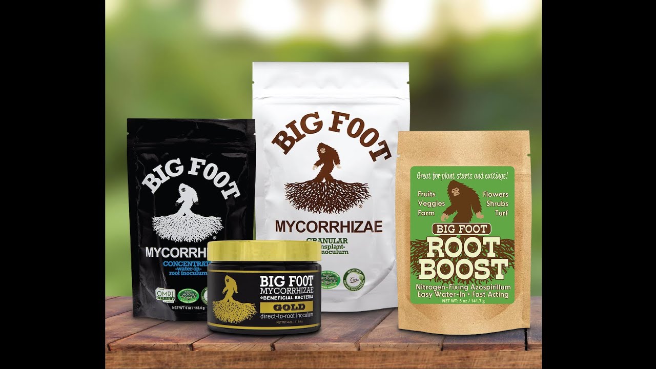 What is in mycorrhizae? Big Foot Microbes explained