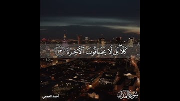 كأنهم حمر مستنفرة فرت من قسورة - أحمد العجمي