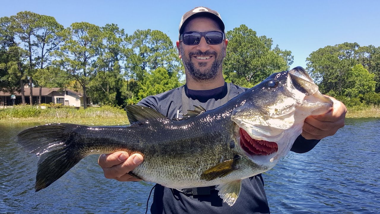 GIANT BASS & BIG NUMBERS in Orlando!!! (Florida Bass Fishing) YouTube