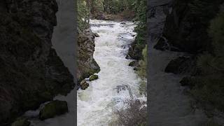 Benham Falls &amp; Deschutes River #benhamfalls #deschutes #oregon