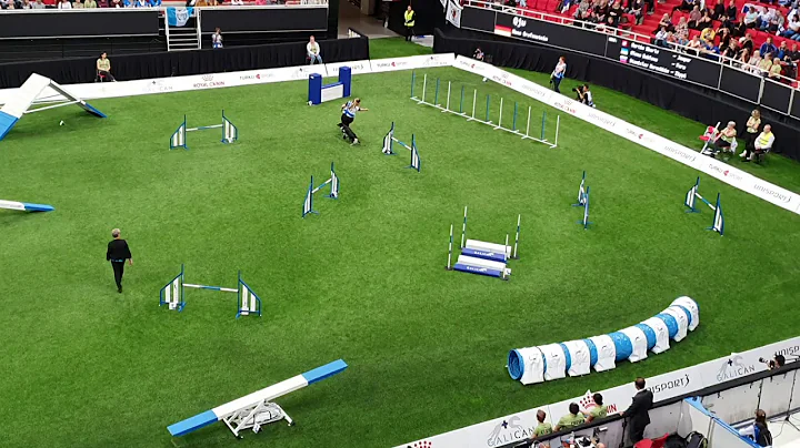 QJU Mona Grefenstein Large Agility AWC 2019