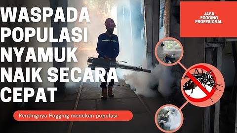 FOGGING MASAL RT RW SIDOARJO 085171669696