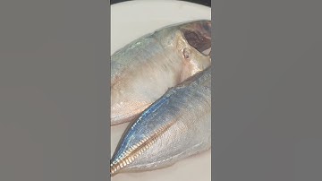 Mẹo RÃ ĐÔNG THỊT CÁ Siêu Nhanh Chỉ Cần 5 Phút Tươi Như Mới Không Bị Mất Dưỡng Chất #shorts #xuhướng