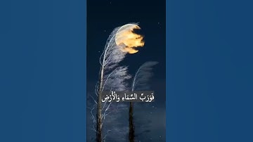 تلاوة ممتعة لسورة الذاريات الآيات (20-23)