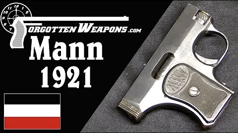 Fritz Mann Model 1921: Chamber-Ring-Del...  Blowback