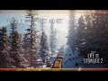 I Found a Way - First Aid Kit [Life is Strange 2]