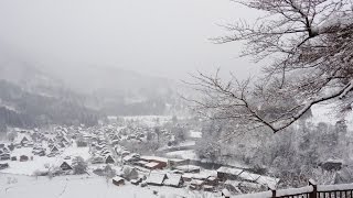 昇龍道之名古屋、兼六園、庒川峽、白川鄉