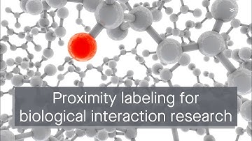 Proximity labeling: A revolutionary technique for studying biological interactions