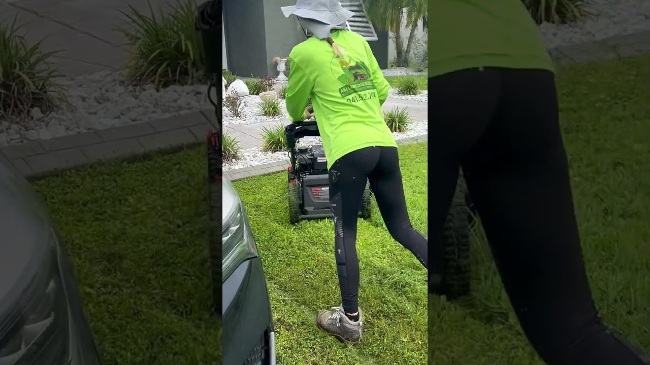 Echo 21 inch push mower 