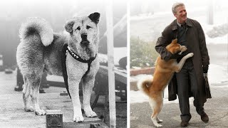 The True Story of Hachiko