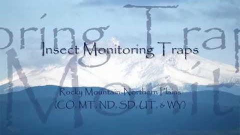 How to monitor for insects in schools