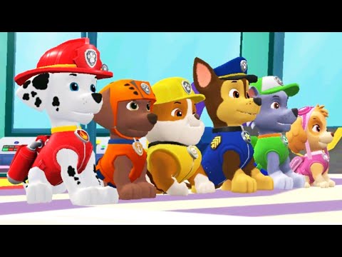 Paw Patrol - YouTube