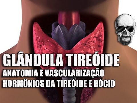 Vídeo: Função Da Glândula Tireóide, Localização E Imagens - Mapas Do Corpo