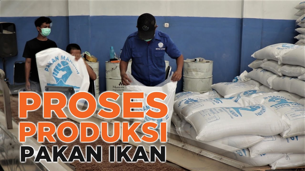 Cara Pembuatan Pakan Ikan di Unit Produksi Pakan BBPBAP Jepara