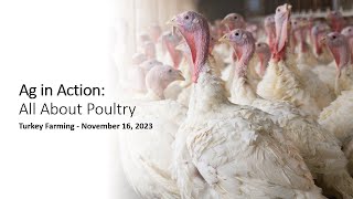 Ag in Action: All About Poultry - Turkey Farming FarmChat®