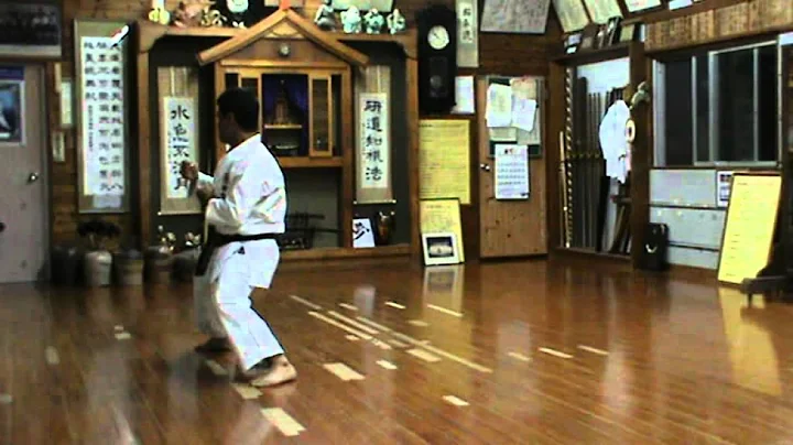 kata Sanseiryu Uechi ryu Karate Do Shohei ryu by S...