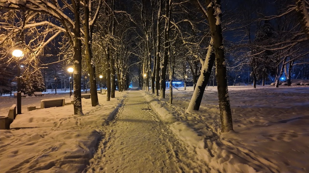 Night walk in Shishkin Les | New Moscow, Russia | Ambient 4K