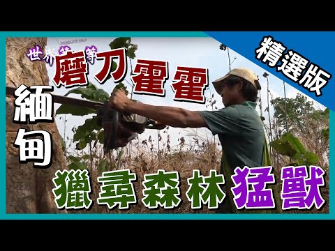 《世界第一等》821集【緬甸】電鋸獵人│精采回顧