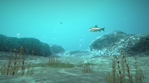 Underwater FX for Unity