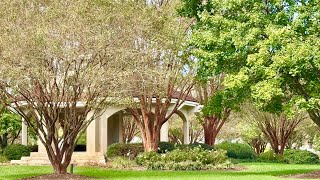 Las Gaviotas townhome (328 San Roman)