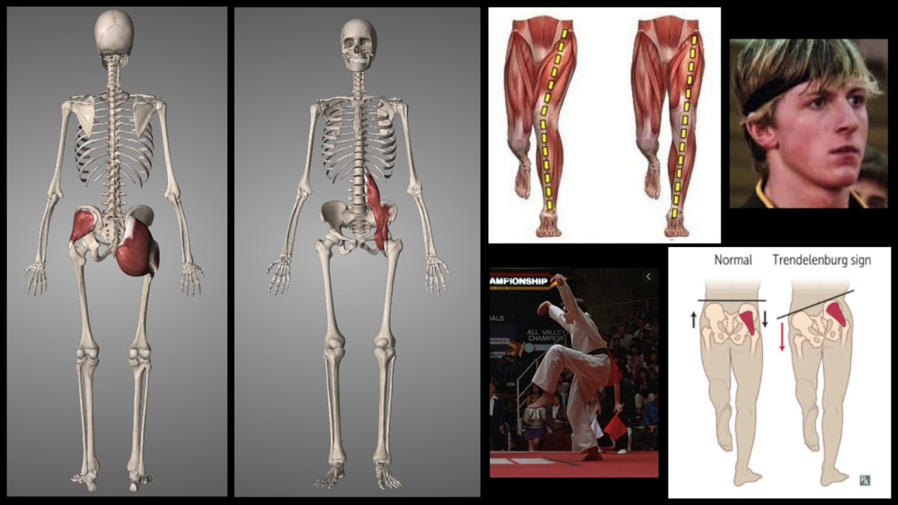 Hip Stability Crane Kick YouTube