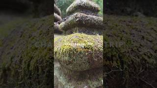 Download Lagu CHANTHABURI TRIP | SHOCKERBALLS #music #song #gasshow #thailand #travel MP3